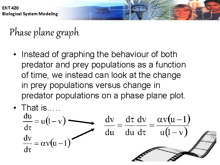 ENT 420 Biological System Modeling Phase plane graph • Instead of graphing the behaviour