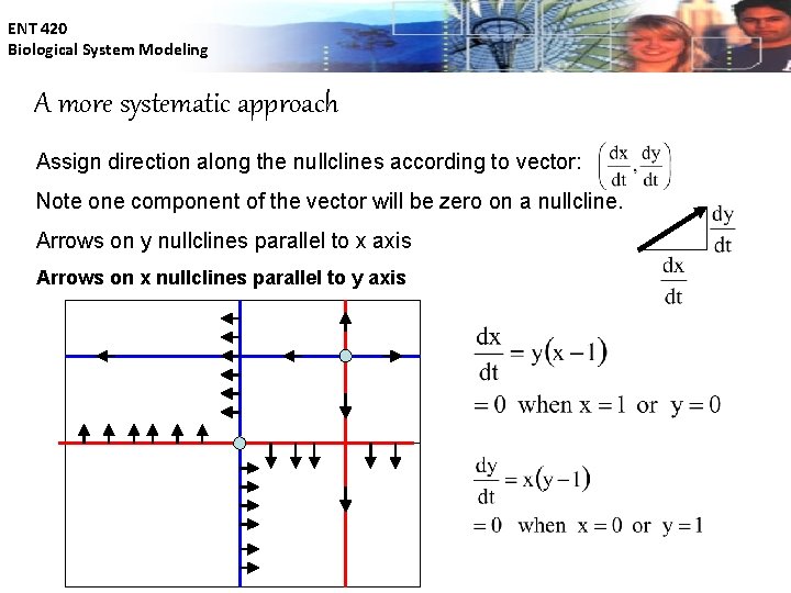 ENT 420 Biological System Modeling A more systematic approach Assign direction along the nullclines