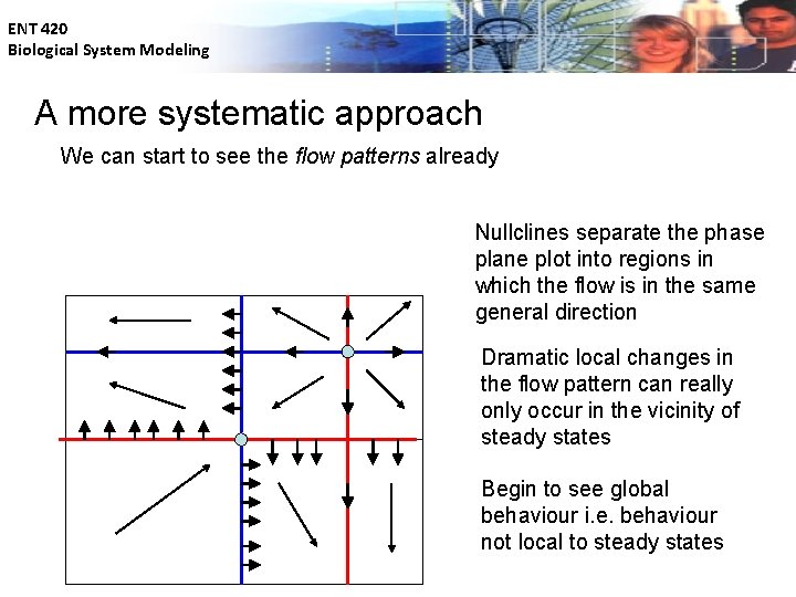 ENT 420 Biological System Modeling A more systematic approach We can start to see