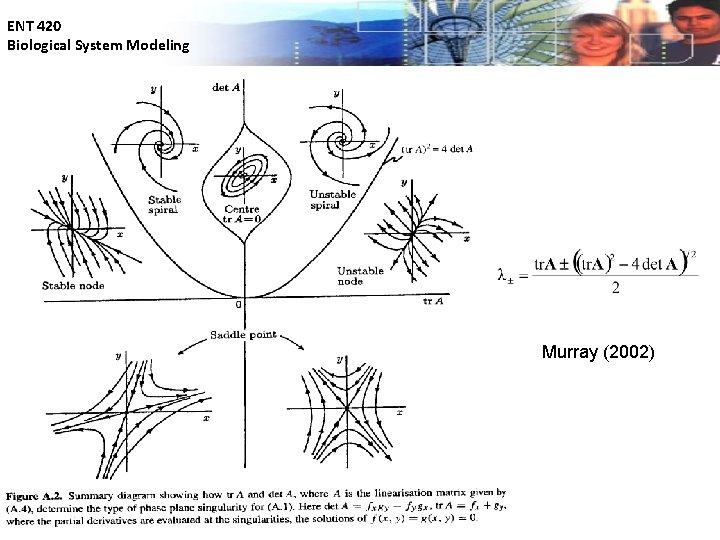 ENT 420 Biological System Modeling Murray (2002) 