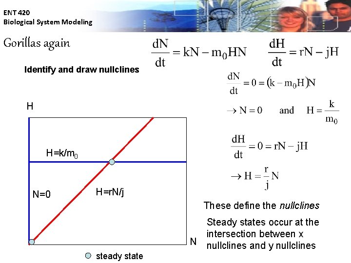 ENT 420 Biological System Modeling Gorillas again Identify and draw nullclines H H=k/m 0