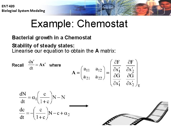 ENT 420 Biological System Modeling Example: Chemostat Bacterial growth in a Chemostat Stability of