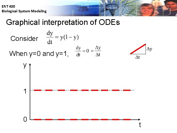 ENT 420 Biological System Modeling Graphical interpretation of ODEs Consider When y=0 and y=1,