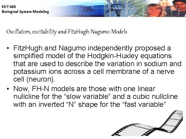 ENT 420 Biological System Modeling Oscillators, excitability and Fitz. Hugh-Nagumo Models • Fitz. Hugh