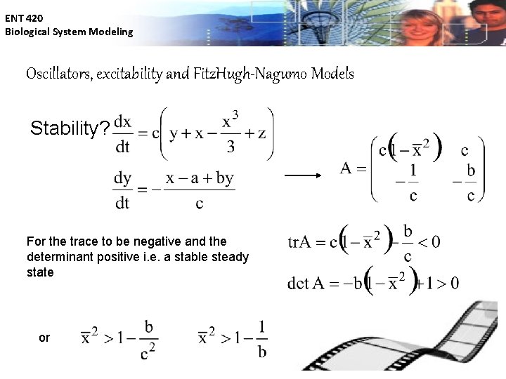 ENT 420 Biological System Modeling Oscillators, excitability and Fitz. Hugh-Nagumo Models Stability? For the