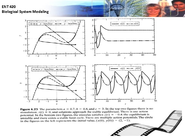 ENT 420 Biological System Modeling 