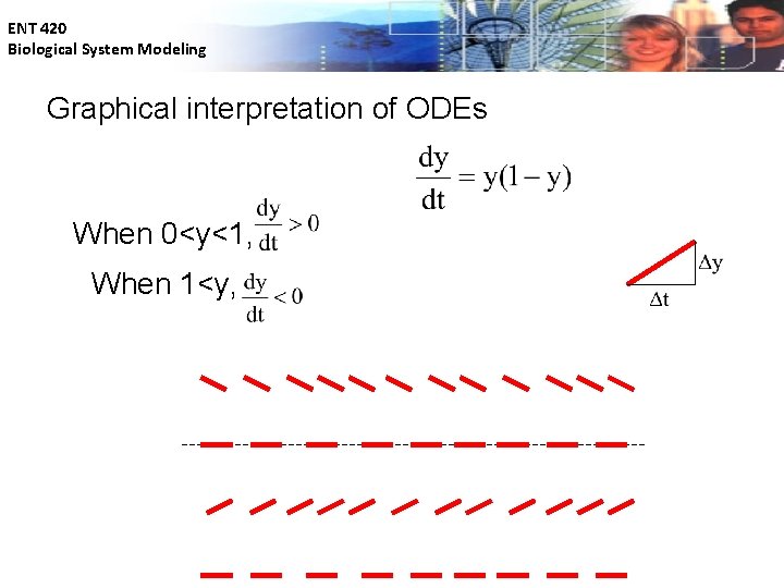 ENT 420 Biological System Modeling Graphical interpretation of ODEs When 0<y<1, When 1<y, 