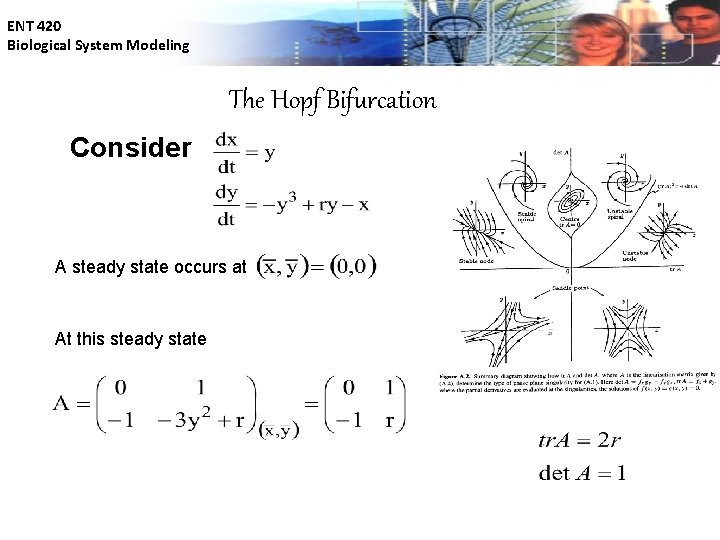 ENT 420 Biological System Modeling The Hopf Bifurcation Consider A steady state occurs at