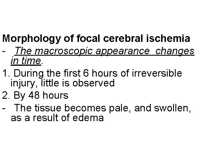 Morphology of focal cerebral ischemia - The macroscopic appearance changes in time. 1. During