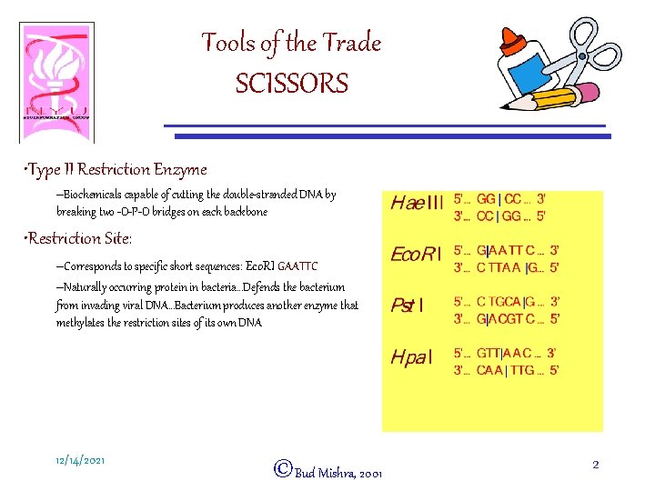 Tools of the Trade SCISSORS • Type II Restriction Enzyme –Biochemicals capable of cutting