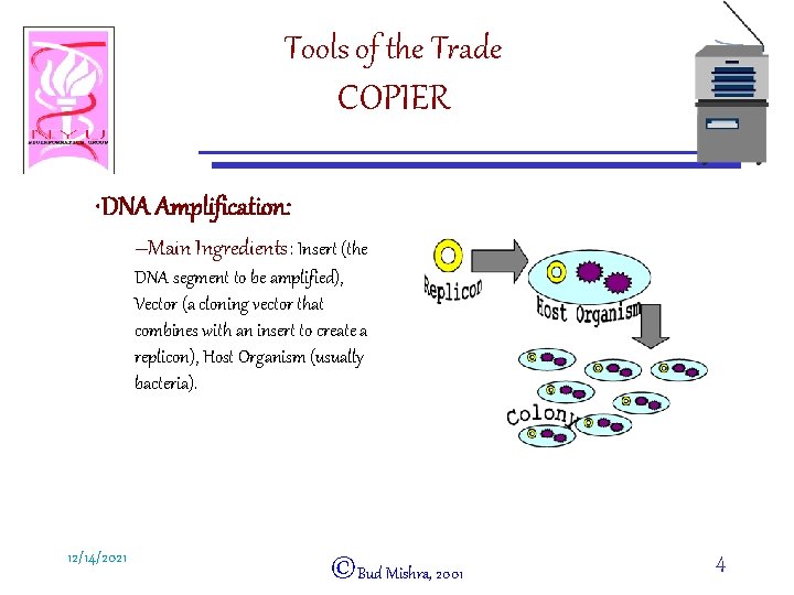 Tools of the Trade COPIER • DNA Amplification: –Main Ingredients: Insert (the DNA segment