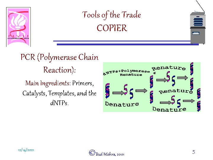 Tools of the Trade COPIER PCR (Polymerase Chain Reaction): Main Ingredients: Primers, Catalysts, Templates,