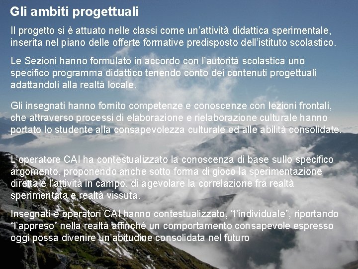 Gli ambiti progettuali Il progetto si è attuato nelle classi come un’attività didattica sperimentale,