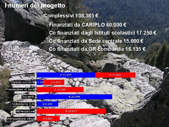 I numeri del progetto Complessivi 108. 385 € Finanziati da CARIPLO 60. 000 €