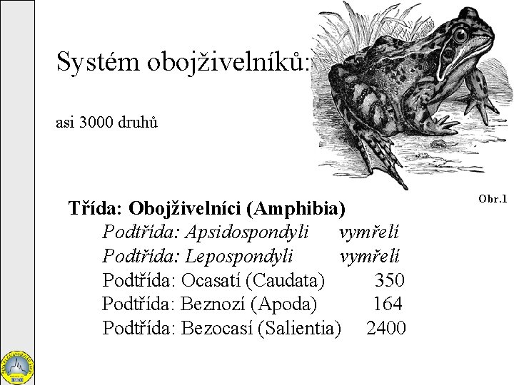 Systém obojživelníků: asi 3000 druhů Třída: Obojživelníci (Amphibia) Podtřída: Apsidospondyli vymřelí Podtřída: Lepospondyli vymřelí