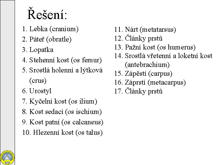 Řešení: 1. Lebka (cranium) 2. Páteř (obratle) 3. Lopatka 4. Stehenní kost (os femur)