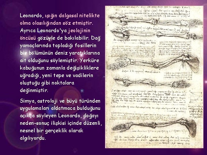 Leonardo, ışığın dalgasal nitelikte olma olasılığından söz etmiştir. Ayrıca Leonardo'ya jeolojinin öncüsü gözüyle de