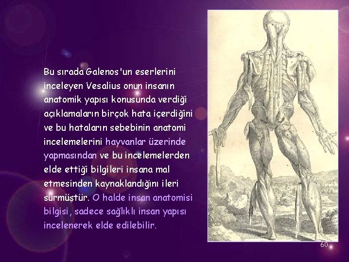 Bu sırada Galenos'un eserlerini inceleyen Vesalius onun insanın anatomik yapısı konusunda verdiği açıklamaların birçok