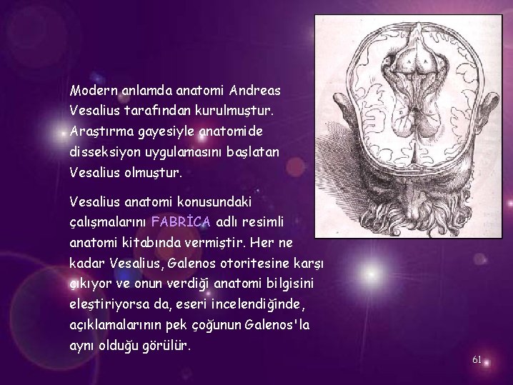 Modern anlamda anatomi Andreas Vesalius tarafından kurulmuştur. Araştırma gayesiyle anatomide disseksiyon uygulamasını başlatan Vesalius