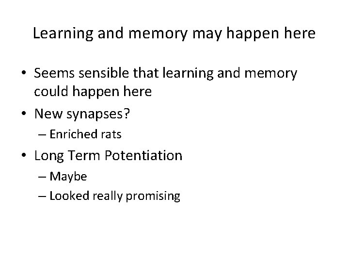 Learning and memory may happen here • Seems sensible that learning and memory could