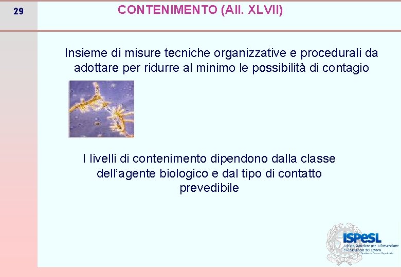 29 CONTENIMENTO (All. XLVII) Insieme di misure tecniche organizzative e procedurali da adottare per