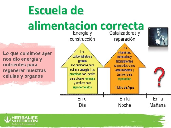 Escuela de alimentacion correcta Lo que comimos ayer nos dio energía y nutrientes para