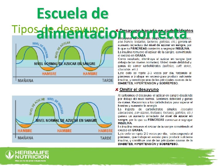 Escuela de Tiposalimentacion de desayuno correcta Miembro de Herbalife Independiente 