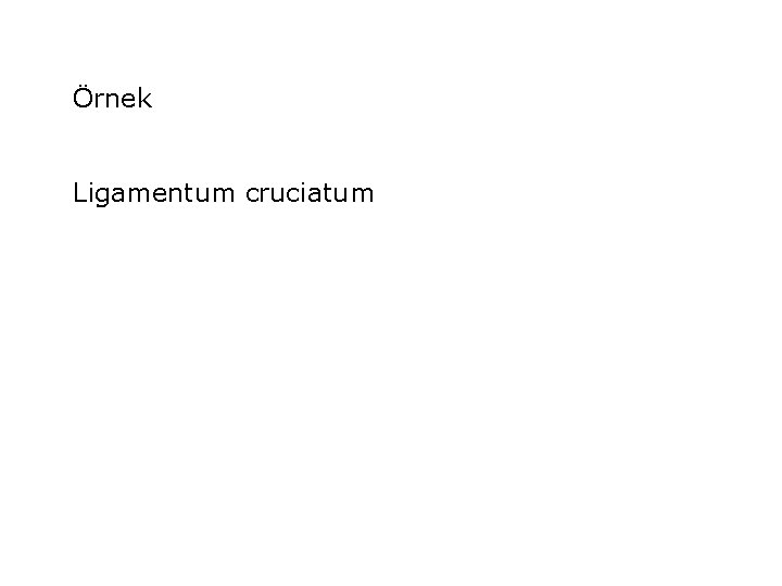 Örnek Ligamentum cruciatum 