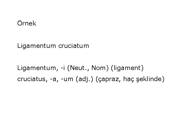 Örnek Ligamentum cruciatum Ligamentum, -i (Neut. , Nom) (ligament) cruciatus, -a, -um (adj. )