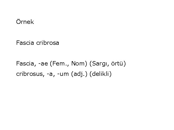 Örnek Fascia cribrosa Fascia, -ae (Fem. , Nom) (Sargı, örtü) cribrosus, -a, -um (adj.