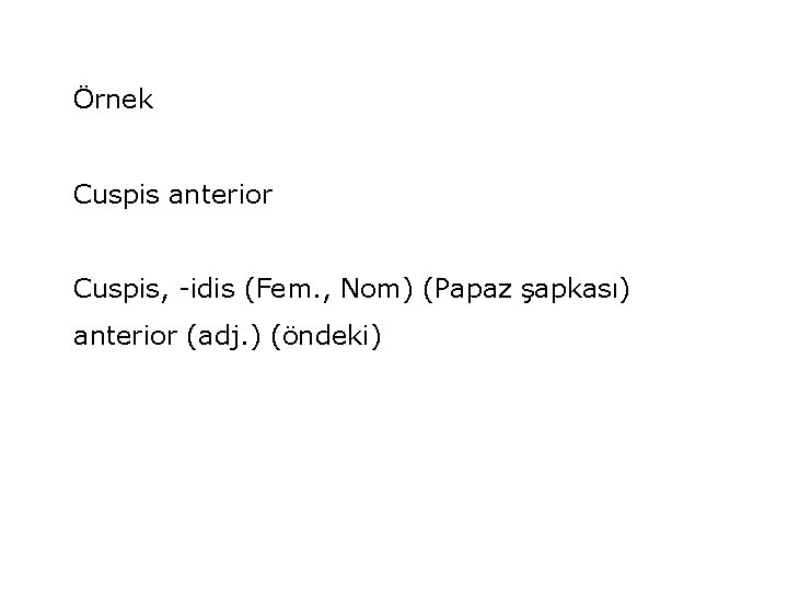 Örnek Cuspis anterior Cuspis, -idis (Fem. , Nom) (Papaz şapkası) anterior (adj. ) (öndeki)