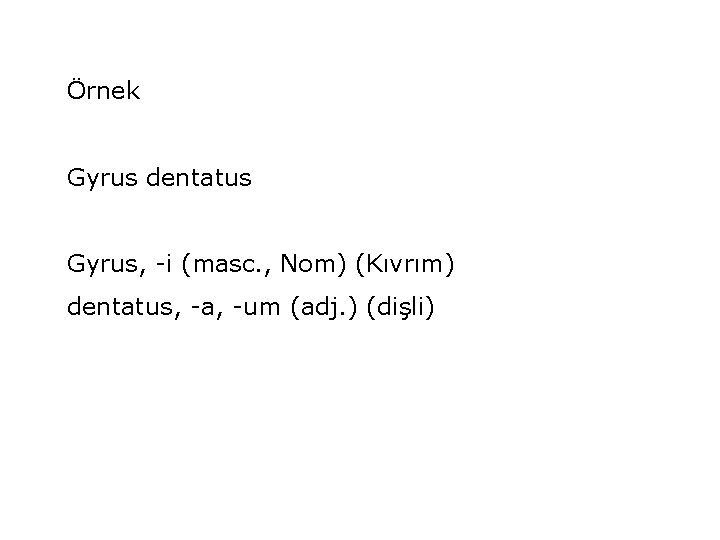 Örnek Gyrus dentatus Gyrus, -i (masc. , Nom) (Kıvrım) dentatus, -a, -um (adj. )