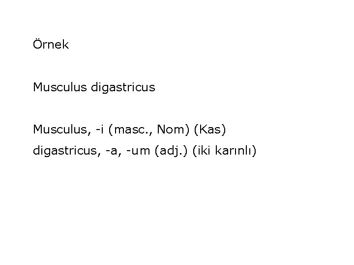 Örnek Musculus digastricus Musculus, -i (masc. , Nom) (Kas) digastricus, -a, -um (adj. )