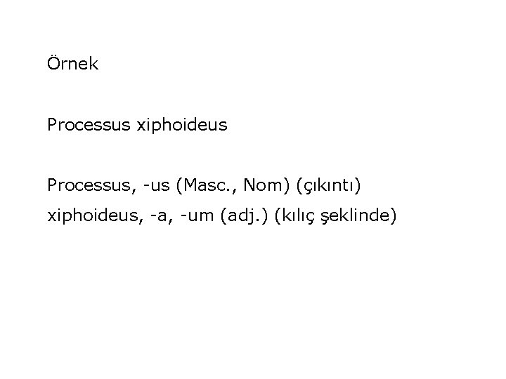 Örnek Processus xiphoideus Processus, -us (Masc. , Nom) (çıkıntı) xiphoideus, -a, -um (adj. )