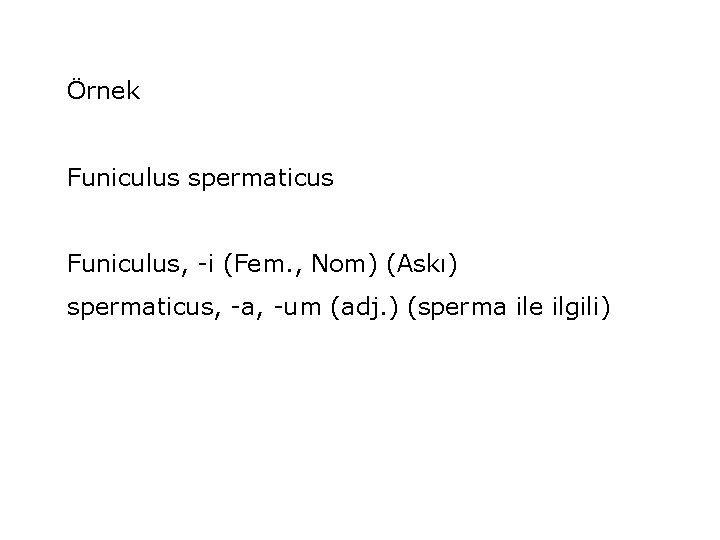 Örnek Funiculus spermaticus Funiculus, -i (Fem. , Nom) (Askı) spermaticus, -a, -um (adj. )