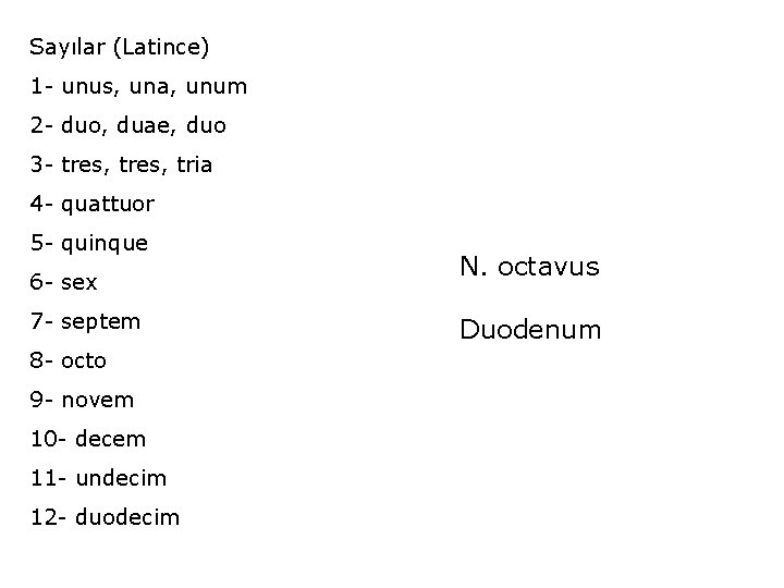 Sayılar (Latince) 1 - unus, una, unum 2 - duo, duae, duo 3 -