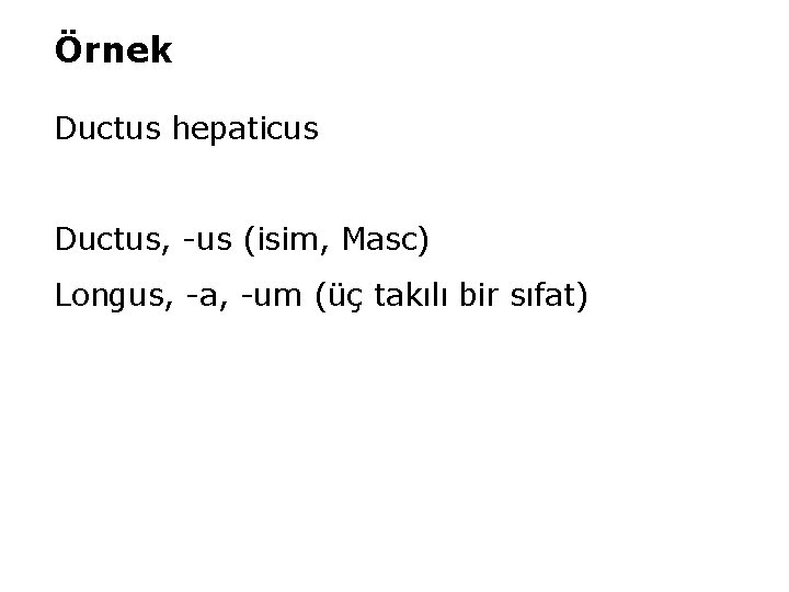 Örnek Ductus hepaticus Ductus, -us (isim, Masc) Longus, -a, -um (üç takılı bir sıfat)