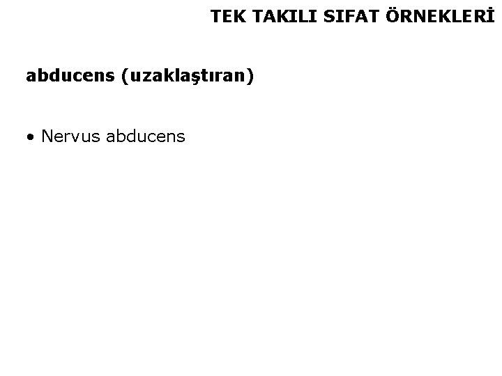 TEK TAKILI SIFAT ÖRNEKLERİ abducens (uzaklaştıran) • Nervus abducens 