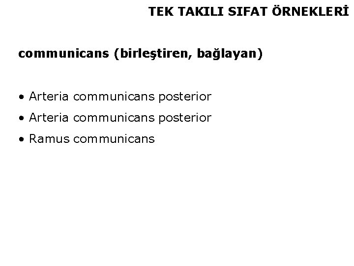 TEK TAKILI SIFAT ÖRNEKLERİ communicans (birleştiren, bağlayan) • Arteria communicans posterior • Ramus communicans