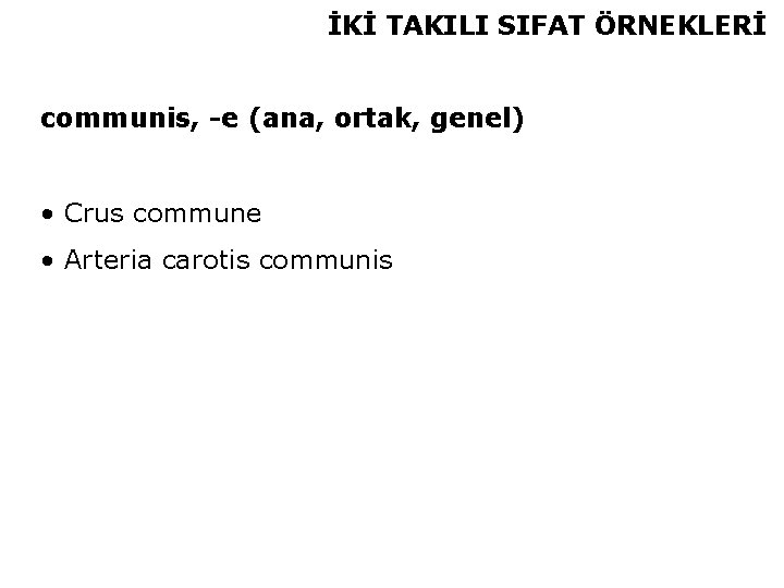 İKİ TAKILI SIFAT ÖRNEKLERİ communis, -e (ana, ortak, genel) • Crus commune • Arteria