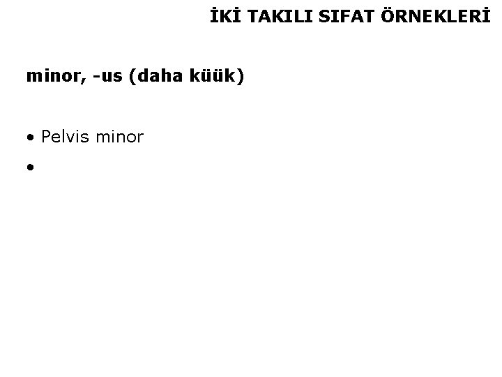 İKİ TAKILI SIFAT ÖRNEKLERİ minor, -us (daha küük) • Pelvis minor • 