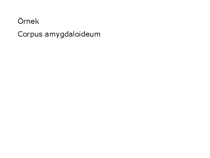 Örnek Corpus amygdaloideum 