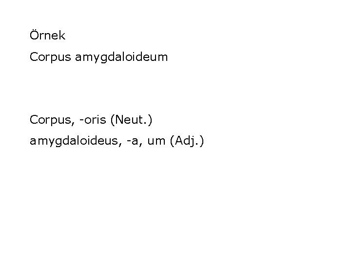 Örnek Corpus amygdaloideum Corpus, -oris (Neut. ) amygdaloideus, -a, um (Adj. ) 
