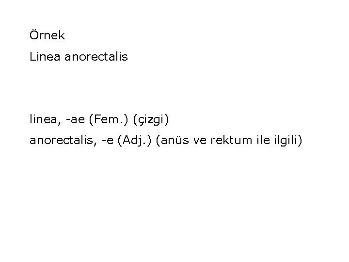 Örnek Linea anorectalis linea, -ae (Fem. ) (çizgi) anorectalis, -e (Adj. ) (anüs ve