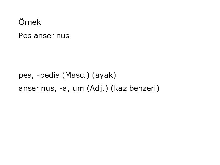 Örnek Pes anserinus pes, -pedis (Masc. ) (ayak) anserinus, -a, um (Adj. ) (kaz