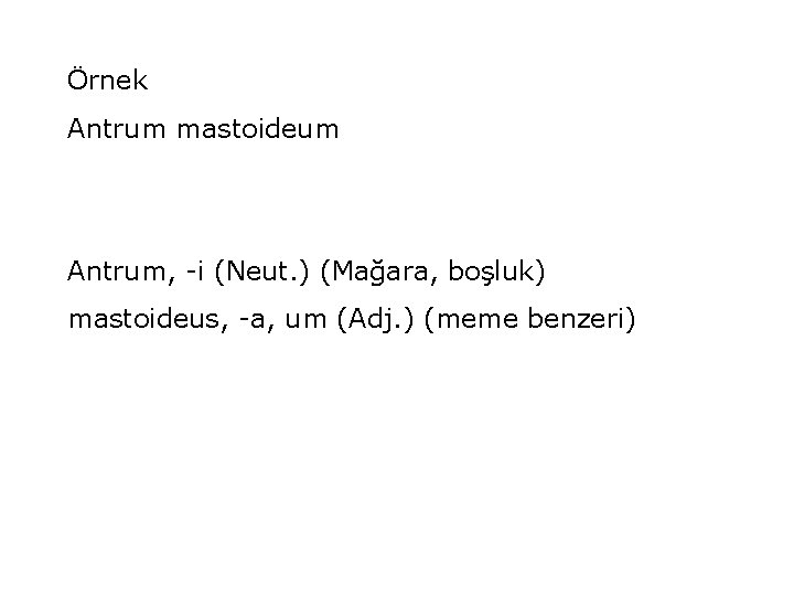 Örnek Antrum mastoideum Antrum, -i (Neut. ) (Mağara, boşluk) mastoideus, -a, um (Adj. )