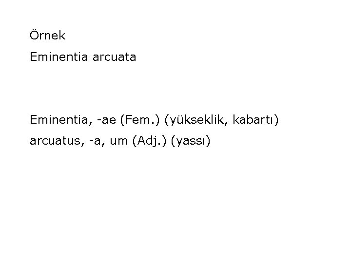 Örnek Eminentia arcuata Eminentia, -ae (Fem. ) (yükseklik, kabartı) arcuatus, -a, um (Adj. )