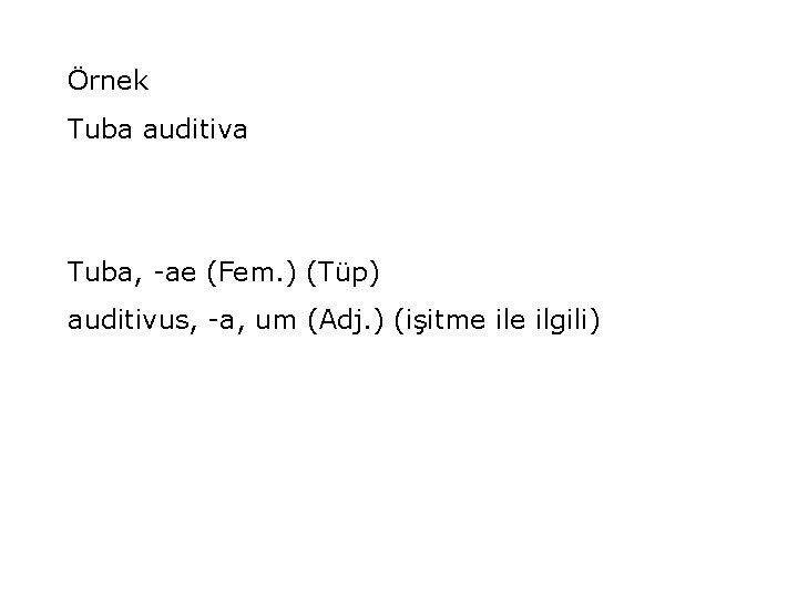 Örnek Tuba auditiva Tuba, -ae (Fem. ) (Tüp) auditivus, -a, um (Adj. ) (işitme