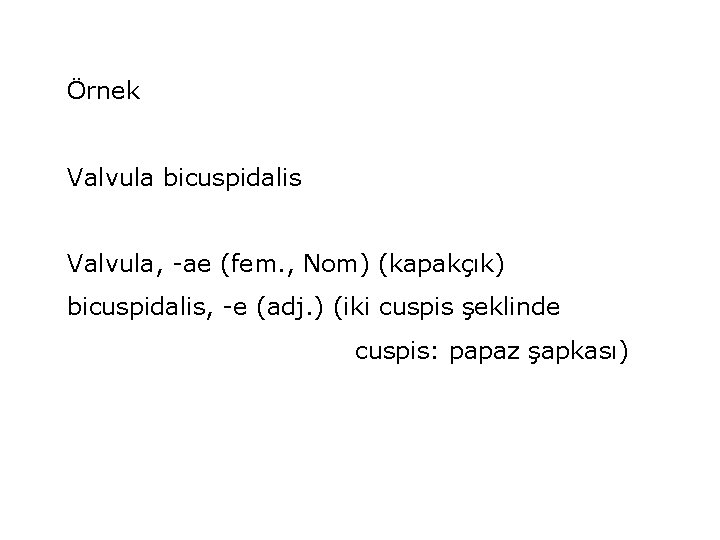 Örnek Valvula bicuspidalis Valvula, -ae (fem. , Nom) (kapakçık) bicuspidalis, -e (adj. ) (iki