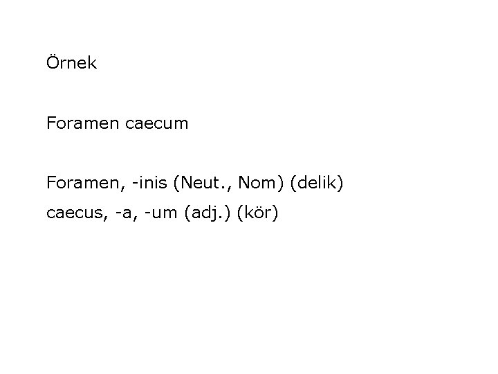 Örnek Foramen caecum Foramen, -inis (Neut. , Nom) (delik) caecus, -a, -um (adj. )